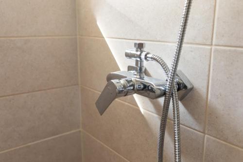 a shower head with a hose in a bathroom at Flóra Vendégház Balatonvilágos in Balatonvilágos