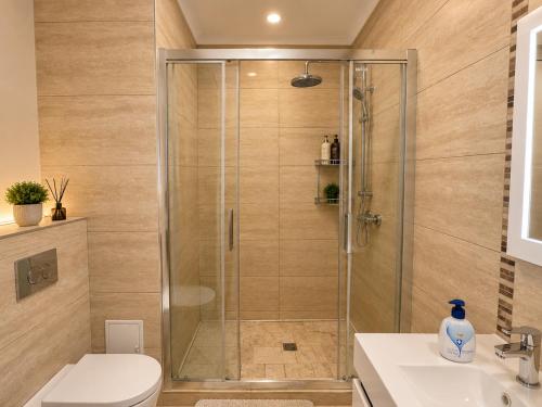 a bathroom with a shower with a toilet and a sink at SOPHIA LAKE VIEW SUITE in Mamaia
