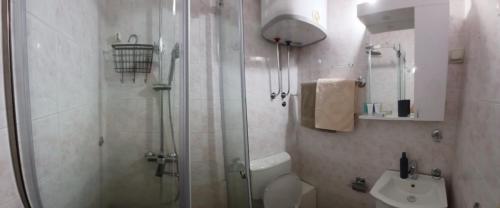a bathroom with a shower and a toilet and a sink at Apartman Vuk in Budva