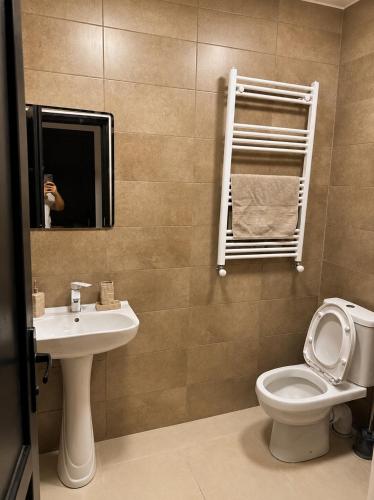 a bathroom with a toilet and a sink and a mirror at Racha Mountain Shadow in Ambrolauri