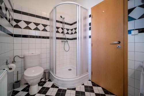 a bathroom with a shower and a toilet at Apartment Riviera 503-8 Lipno Home in Lipno nad Vltavou