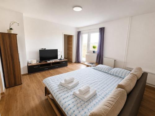 a bedroom with a bed and a television in it at M&M Apartment in Zgornje Gorje