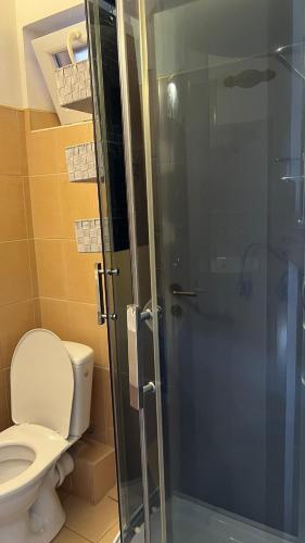 a bathroom with a toilet and a glass shower stall at Adria penzión in Štúrovo