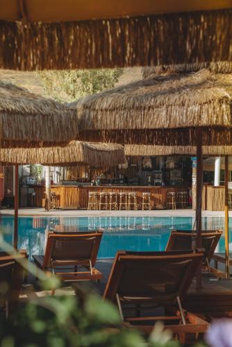 a resort with chairs and a swimming pool with a straw umbrella at Solaya Kineret in Migdal
