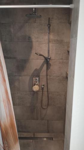 a shower in a bathroom with a shower at Ferienhaus Happytime in Binz