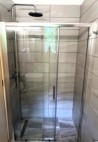 a shower with a glass door in a bathroom at Hotel Erato in Chorefto
