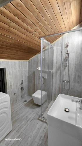 a bathroom with a shower and a toilet and a sink at Vila Nela in Shkodër