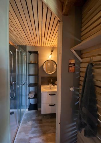 a bathroom with a sink and a shower and a mirror at Chez Walter et Camille in Saint-Cernin-de-Larche