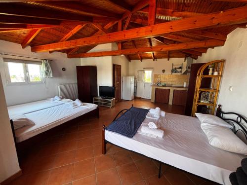 a large room with two beds and a kitchen at Nefeli's cozy apartment afytos in Afitos