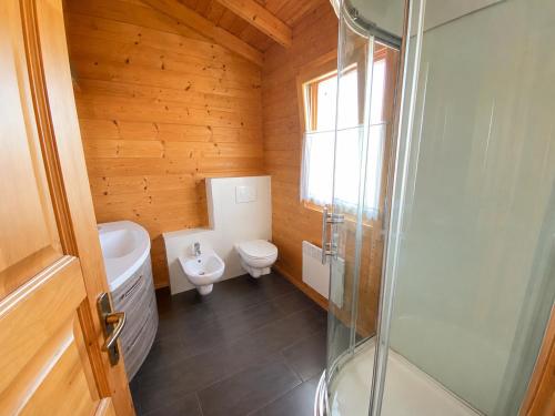 a bathroom with a toilet and a glass shower at Blockhaus Nikolaus in Güssing