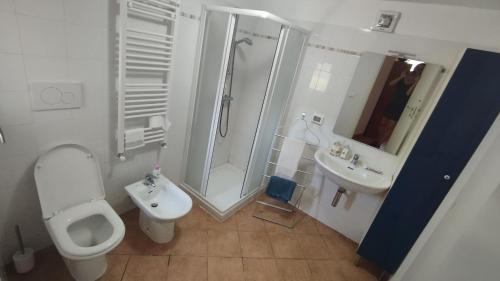 a bathroom with a toilet and a shower and a sink at La Torretta di Segno Vegan Bikers retreat in Segno