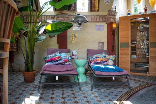 two chairs with pillows and a vase in a room at Ferienwohnung WohlFühlWohn in Vreden