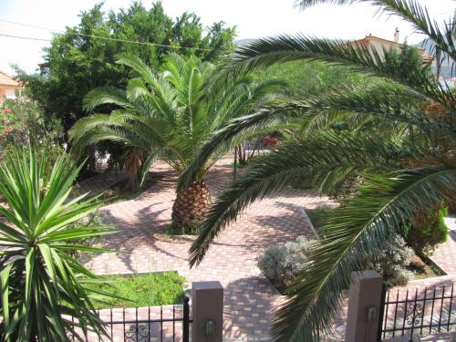 a courtyard with palm trees and a fence at Lakonia Bay Apartments in Archangelos