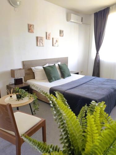 a bedroom with a bed and a green plant at Family Hotel Brilliance in Varna City