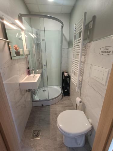 a bathroom with a shower and a toilet and a sink at Solea Apartment in Woditz