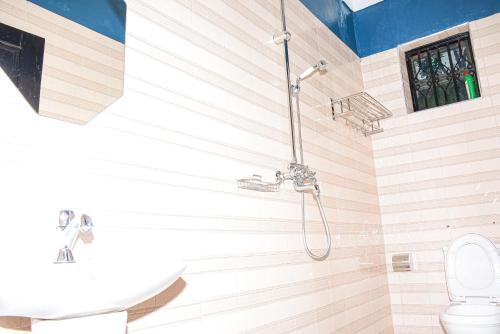 a bathroom with a shower and a toilet at Larry Homestay in Kapchorwa