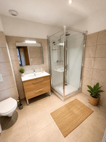 a bathroom with a shower and a toilet and a sink at Aux loges du théâtre in Moulins