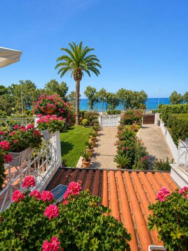 a garden with pink flowers and a palm tree at B&B L'ORIZZONTE in Crotone