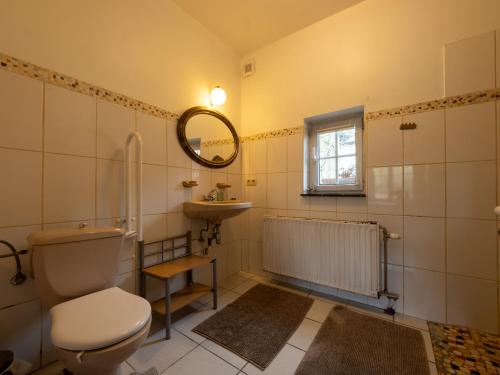 a bathroom with a toilet and a sink and a mirror at Anc. Seigneurie de Boucaut in Leuze-en-Hainaut