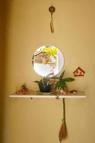 a shelf with a plant and a mirror on a wall at Pousada 3 Bruxas Casa de Hóspedes in São Thomé das Letras