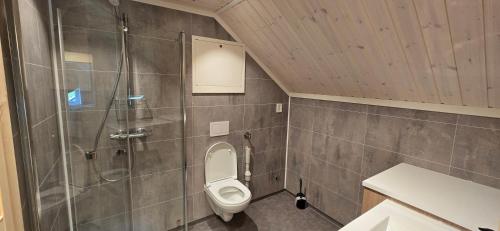 ein Badezimmer mit Toilette und Dusche in der Unterkunft Stølsheim in Tyinkrysset