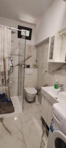 a bathroom with a shower and a toilet and a sink at Apartment Nereo in Senj