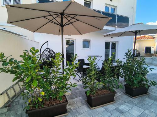 Apartments Verdina