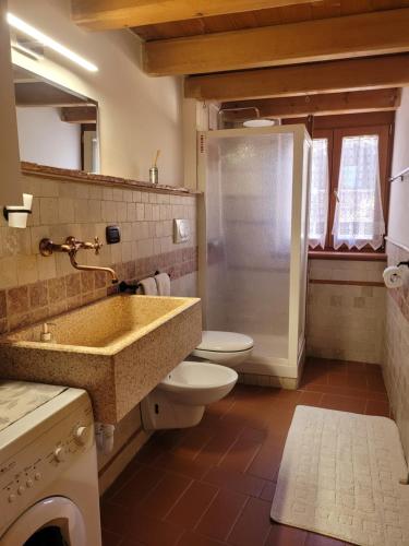 a bathroom with a sink and a toilet and a shower at Casa Sole in Ceniga