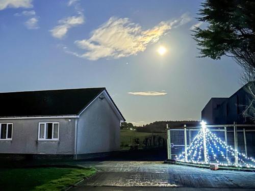 a christmas tree with lights on a fence at Seven Seasons in Caldercruix