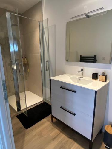 a bathroom with a sink and a shower at Appartement avec jacuzzi et piscine sur les remparts in Langres