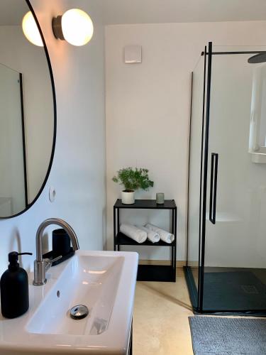 a bathroom with a sink and a shower with a mirror at Wyszumiane in Staniszów