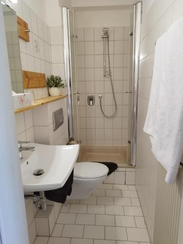 a bathroom with a shower and a toilet and a sink at Pension Chapeau-Claque in Cochem