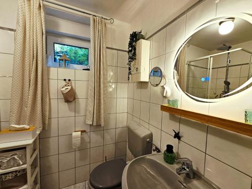 a bathroom with a sink and a toilet and a mirror at Eifelglück in Heimbach