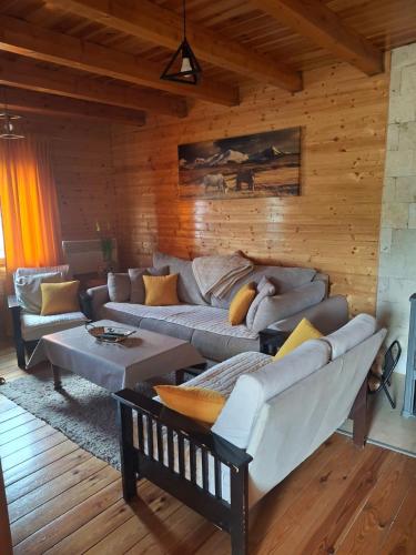 a living room with couches and a wooden wall at House Negro Žabljak in Žabljak