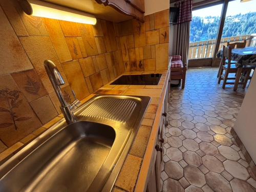 a kitchen with a stainless steel sink in a room at Studio Croix Viallet, Chez Francine in Notre-Dame-de-Bellecombe