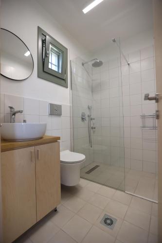 a bathroom with a toilet and a sink and a shower at Admonis - Home in the olive grove in Melissátika