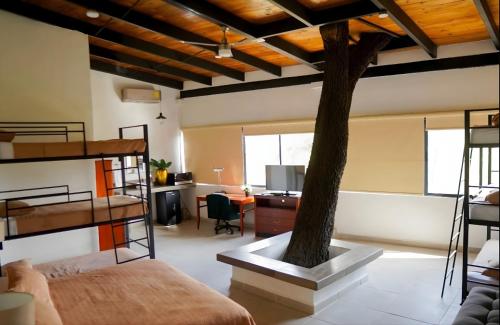 a room with bunk beds and a tree in it at Campestre La Fuente in Monterrey