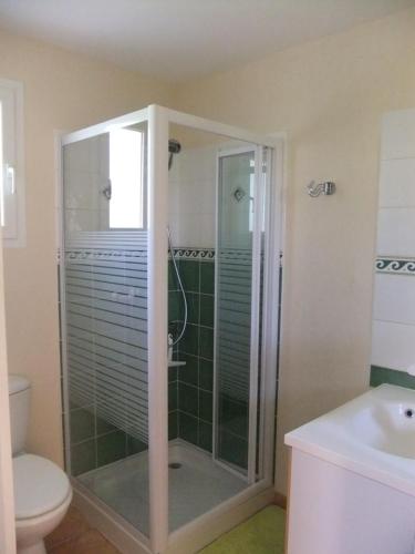 une salle de bain avec une douche, des toilettes et un lavabo dans l'établissement Gîte à BELESTA en Ariège 09300, à Bélesta