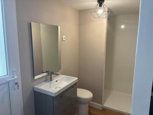 a bathroom with a sink and a toilet and a mirror at Studio piscine in Puy-Guillaume