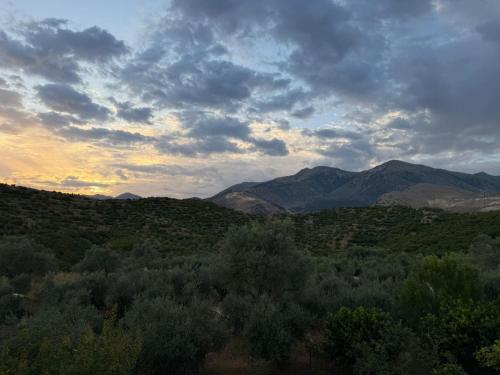 a view of a field of trees and mountains at The Hidden Orchard near Saranda in Delvinë