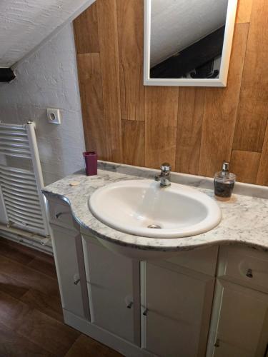 a bathroom with a sink and a mirror at Les Rochers de Bayac in Bayac