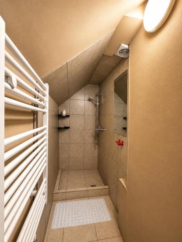 a bathroom with a walk in shower with a shower at Basecamproll in Pec pod Snezkou