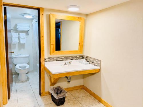 a bathroom with a sink and a toilet at Round Barn Lodge in Spring Green