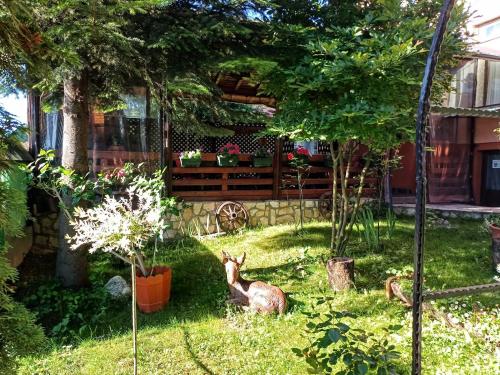 a deer sitting in the grass in a yard at Pensiunea Agroturistică Piscul Soarelui in Capu Piscului