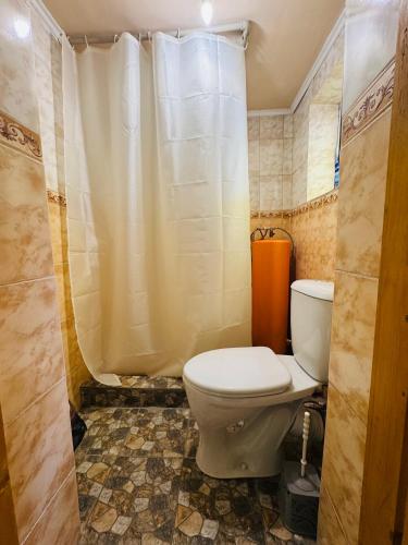 a bathroom with a toilet and a shower at Kurjun in Karakol