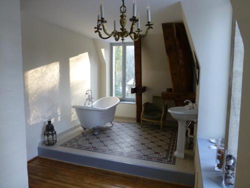 uma casa de banho com uma banheira e um lavatório em Chateau de la Raffe em Naix-aux-Forges