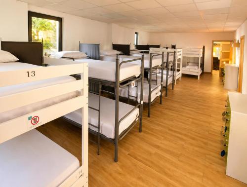 a row of bunk beds in a dorm room at Albergue Vía Vitae in Otur