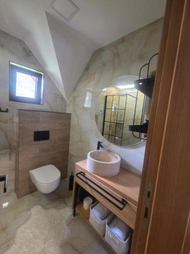a bathroom with a sink and a toilet and a mirror at Tara Saric Duplex in Kaludjerske Bare