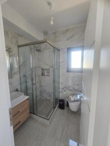 a bathroom with a shower and a sink and a toilet at Villa relax glinado luluvo in Glinado Naxos