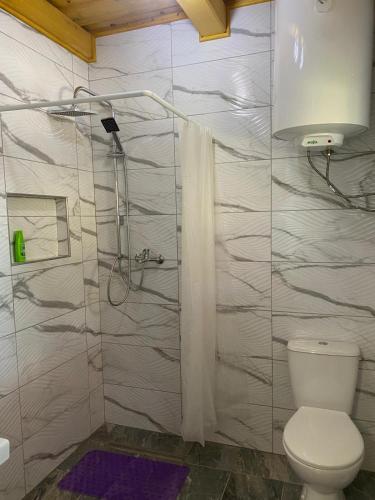 a bathroom with a toilet and a shower at Csillagfürt Vendégház in Kiskunmajsa